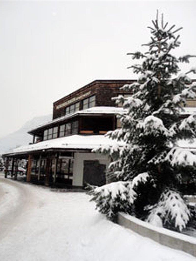 Aparthotel Schindlhaus/Alpin 솔 외부 사진